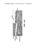 TISSUE MARKERS AND USES THEREOF diagram and image