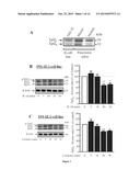 TPL2 KINASE INHIBITORS FOR PREVENTING OR TREATING DIABETES AND FOR     PROMOTING Beta-CELL SURVIVAL diagram and image