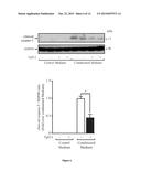 TPL2 KINASE INHIBITORS FOR PREVENTING OR TREATING DIABETES AND FOR     PROMOTING Beta-CELL SURVIVAL diagram and image