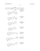 RHO KINASE INHIBITORS diagram and image