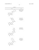 RHO KINASE INHIBITORS diagram and image