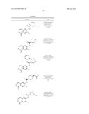 RHO KINASE INHIBITORS diagram and image