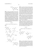 RHO KINASE INHIBITORS diagram and image