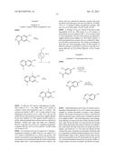 RHO KINASE INHIBITORS diagram and image