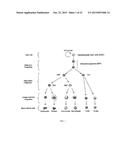 Tricyclic Lactams for Use in the Protection of Hematopoietic Stem and     Progenitor Cells Against Ionizing Radiation diagram and image