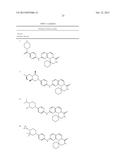 Tricyclic Lactams for Use in the Protection of Hematopoietic Stem and     Progenitor Cells Against Ionizing Radiation diagram and image