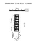 Method of Controlling Administration of Cancer Antigen diagram and image