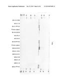 BETA-LACTAMASES WITH IMPROVED PROPERTIES FOR THERAPY diagram and image