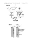 DEVELOPMENT OF A HIGHLY EFFICIENT SECOND GENERATION NICOTINE-CONJUGATE     VACCINE TO TREAT NICOTINE ADDICTION diagram and image