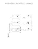 Conjugates of Proteins and Multivalent Cell-Penetrating Peptides and Their     Uses diagram and image