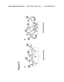 Conjugates of Proteins and Multivalent Cell-Penetrating Peptides and Their     Uses diagram and image