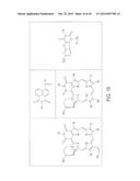 IMIDATED BIOPOLYMER ADHESIVE AND HYDROGEL diagram and image