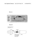 Methods And Compositions For The Treatment Of Open And Closed Wound Spinal     Cord Injuries diagram and image