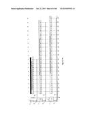 ELASTIC RESISTANT TRAINING APPARATUS AND METHODS diagram and image