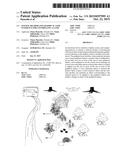 SYSTEM, METHOD AND GRAPHICAL USER INTERFACE FOR CONTROLLING A GAME diagram and image