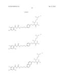 3,5-DIAMINO-6-CHLORO-N-(4-PHENYLBUTYL)CARBAMIMIDOYL)     PYRAZINE-2-CARBOXAMIDE COMPOUNDS diagram and image