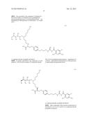 3,5-DIAMINO-6-CHLORO-N-(4-PHENYLBUTYL)CARBAMIMIDOYL)     PYRAZINE-2-CARBOXAMIDE COMPOUNDS diagram and image