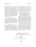 3,5-DIAMINO-6-CHLORO-N-(4-PHENYLBUTYL)CARBAMIMIDOYL)     PYRAZINE-2-CARBOXAMIDE COMPOUNDS diagram and image