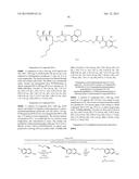 3,5-DIAMINO-6-CHLORO-N-(4-PHENYLBUTYL)CARBAMIMIDOYL)     PYRAZINE-2-CARBOXAMIDE COMPOUNDS diagram and image