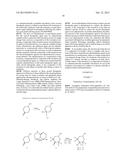 FLUORO-DERIVATIVES OF PYRAZOLE-SUBSTITUTED AMINO-HETEROARYL COMPOUNDS diagram and image