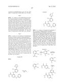 AMIDE-SUBSTITUTED HETEROCYCLIC COMPOUNDS USEFUL AS MODULATORS OF IL-12,     IL-23 AND/OR IFN ALPHA RESPONSES diagram and image