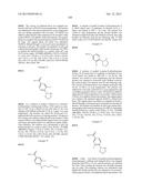 CYCLIC SULFONAMIDE CONTAINING DERIVATIVES AS INHIBITORS OF HEDGEHOG     SIGNALING PATHWAY diagram and image