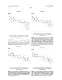 Inhibitors of the Renal Outer Medullary Potassium Channel diagram and image