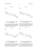 Inhibitors of the Renal Outer Medullary Potassium Channel diagram and image