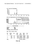 SOLID FORMS COMPRISING     7-(6-(2-HYDROXYPROPAN-2-YL)PYRIDIN-3-YL)-1-((TRANS)-4-METHOXYCYCLOHEXYL)--    3,4-DIHYDROPYRAZINO[2,3-b]PYRAZIN-2(1H)-ONE, AND A COFORMER, COMPOSITIONS     AND METHODS OF USE THEREOF diagram and image