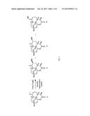 ARTEMISININ DERIVATIVES, METHODS FOR THEIR PREPARATION AND THEIR USE AS     ANTIMALARIAL AGENTS diagram and image