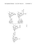 ARTEMISININ DERIVATIVES, METHODS FOR THEIR PREPARATION AND THEIR USE AS     ANTIMALARIAL AGENTS diagram and image