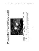 COMPOUNDS FOR MODULATING TRPV3 FUNCTION diagram and image