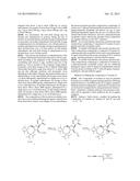 2 -ALKYNYL SUBSTITUTED NUCLEOSIDE DERIVATIVES AND METHODS OF USE THEREOF     FOR THE TREATMENT OF VIRAL DISEASES diagram and image