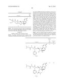 2 -ALKYNYL SUBSTITUTED NUCLEOSIDE DERIVATIVES AND METHODS OF USE THEREOF     FOR THE TREATMENT OF VIRAL DISEASES diagram and image