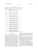 AXMI-115, AXMI-113, AXMI-005, AXMI-163 AND AXMI-184: INSECTICIDAL PROTEINS     AND METHODS FOR THEIR USE diagram and image