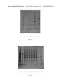 SEPARATION PROCESSES FOR SOY PROTEIN diagram and image