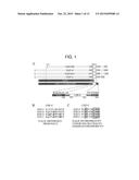 MEDICAL TREATMENT USE OF CELL-MEMBRANE-PERMEABLE FIBROBLAST GROWTH FACTOR diagram and image