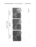 DEVELOPMENT OF HBV-AND/OR HDV-SUSCEPTIBLE CELLS, CELL LINES AND NON-HUMAN     ANIMALS diagram and image