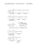 IMMUNOGENIC VACCINE diagram and image