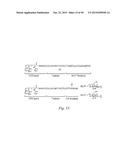 IMMUNOGENIC VACCINE diagram and image