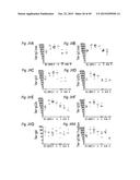 IMMUNOGENIC VACCINE diagram and image