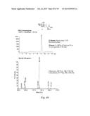 IMMUNOGENIC VACCINE diagram and image