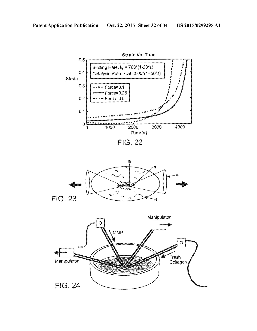 Collagen Fibrillar Construction - diagram, schematic, and image 33