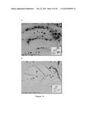 ANTIBODIES TO AMYLOID BETA diagram and image