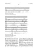 ANTIBODIES TO AMYLOID BETA diagram and image