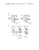 Agents That Modulate Immune Cell Activation and Methods of Use Thereof diagram and image