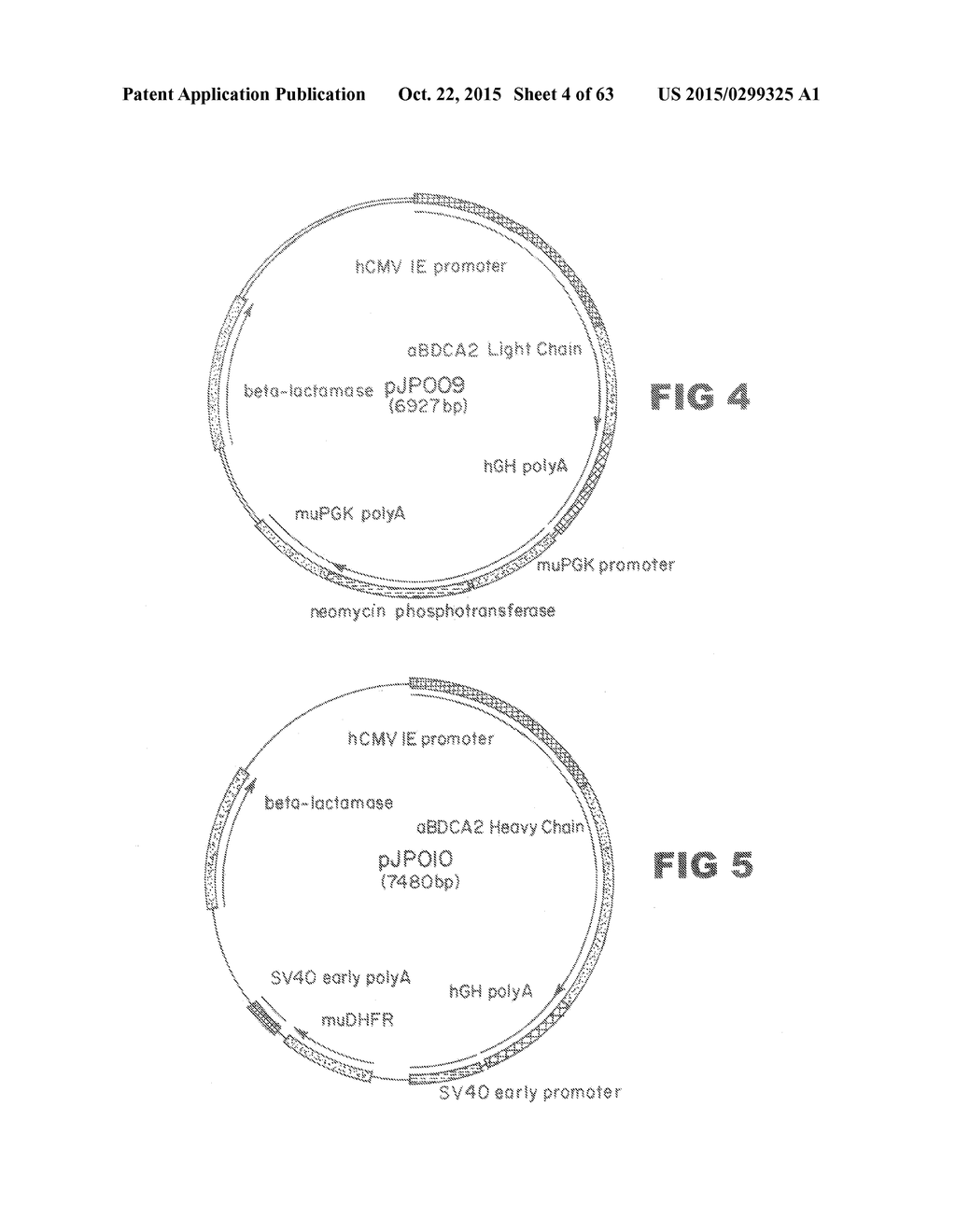 Anti-Blood Dendritic Cell Antigen 2 Antibodies And Uses Thereof - diagram, schematic, and image 05