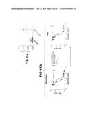 Anti-Blood Dendritic Cell Antigen 2 Antibodies And Uses Thereof diagram and image