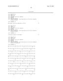 Anti-Blood Dendritic Cell Antigen 2 Antibodies And Uses Thereof diagram and image