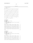 Anti-Blood Dendritic Cell Antigen 2 Antibodies And Uses Thereof diagram and image